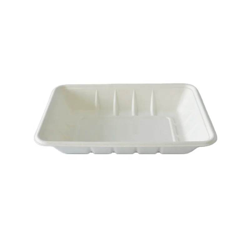 PFAS Free Disposable Sugarcane  rectangle  plant Sugarcane Bagasse Tableware Vegetable Fruit Meat Packaging Plate Tray T4