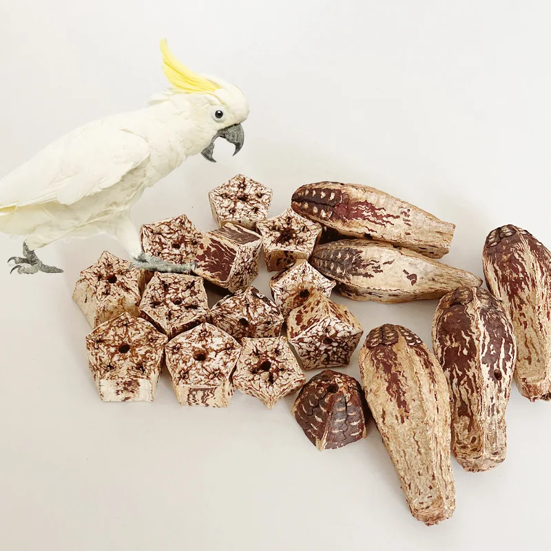 Bird Pet Gnawing Fruit Toy Natural Star Fruit For Parrot Teeth Grinding Five Star Fruit Parrot Chewable