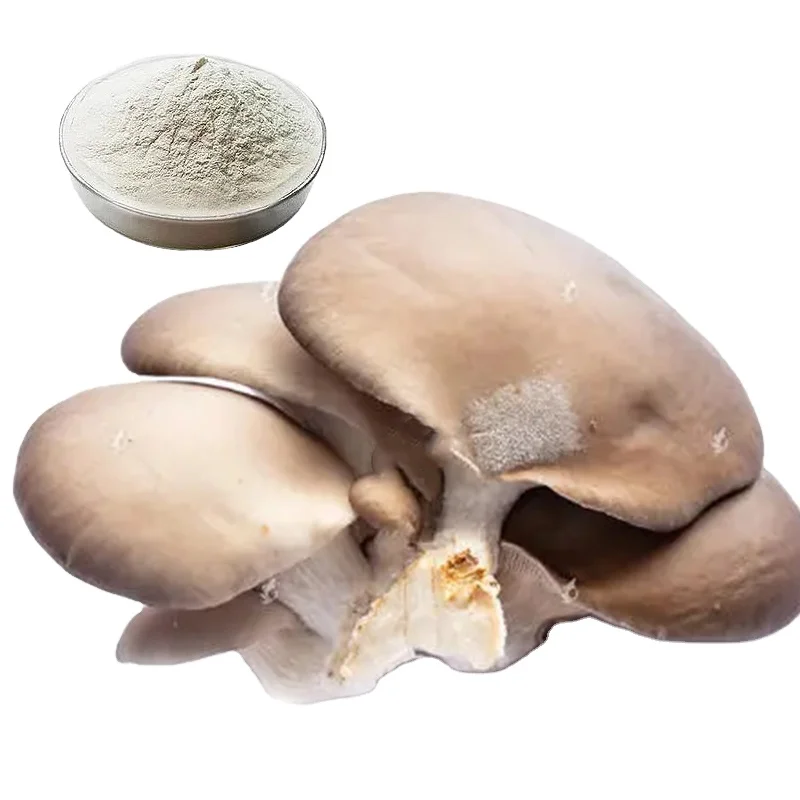 Factory supply Agaricus bisporus chitosan  Mushroom Chitosan Powder raw materials