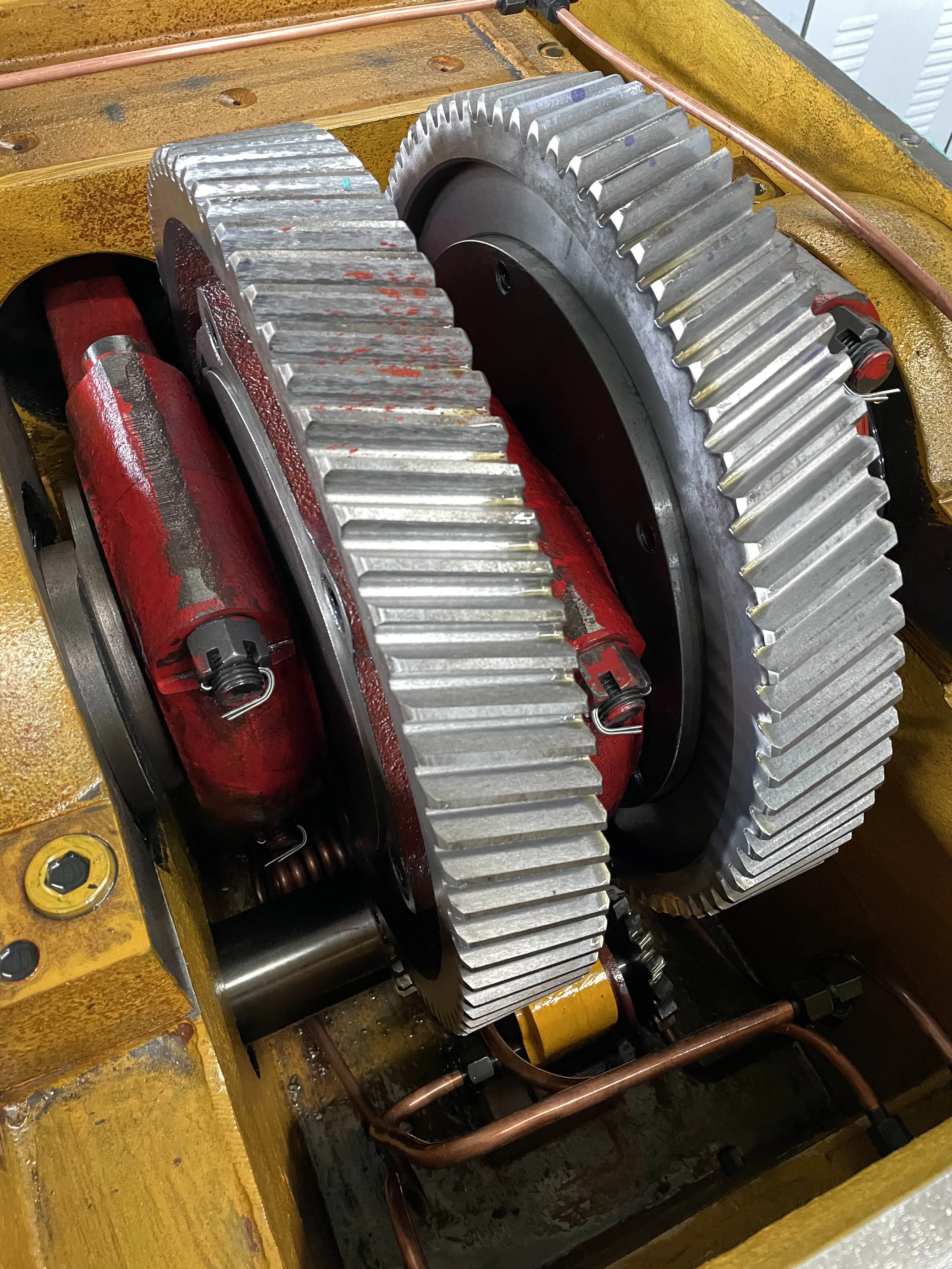 Coconut water product homogenizer milk