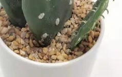 Decorative Indoor Or Outdoor Large Artificial Potted Cactus Plants