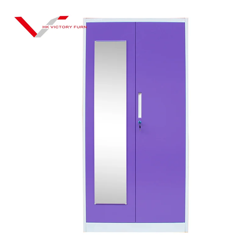 Steel Wardrobe Lockers Gym Metal 2 Door Clothing Storage Steel Cheap Locker/Wardrobe