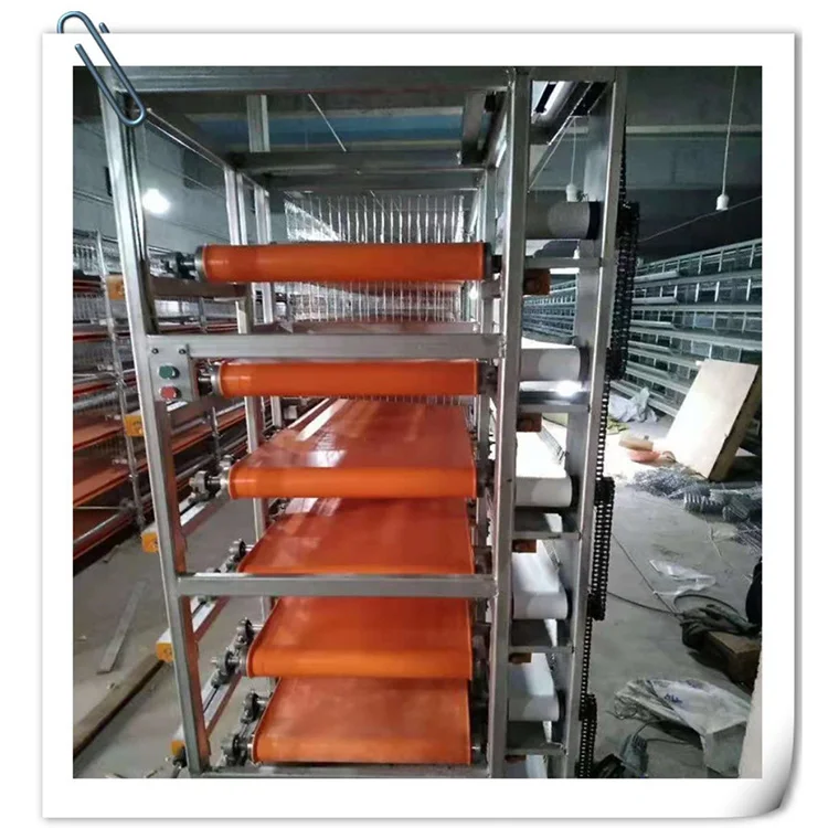 Automatic feeder system 6 layers H type quail layers cage for eggs