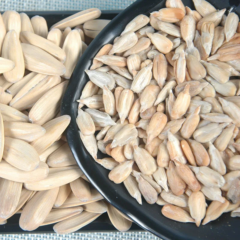 
2019 New Crop Sunflower Seeds 5009 Wholesale Price China Origin 
