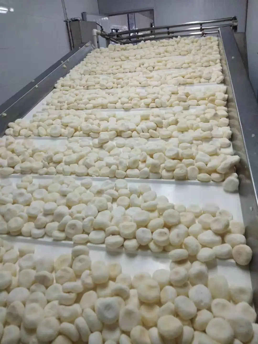 Water chestnut whole1.jpg