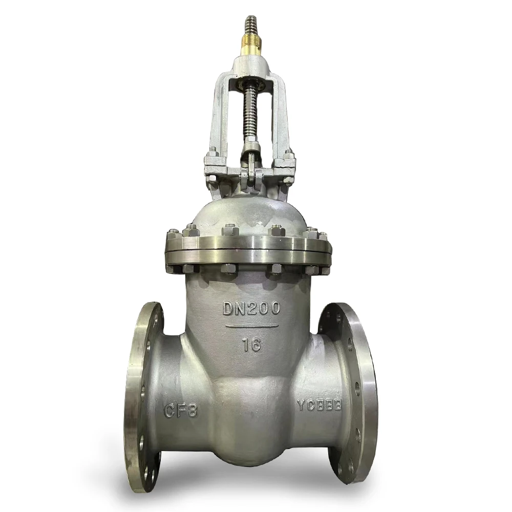 DN150 DN200 DIN3202 SS304 316 CF3 CF8 корпус из нержавеющей стали фланцевый затвор