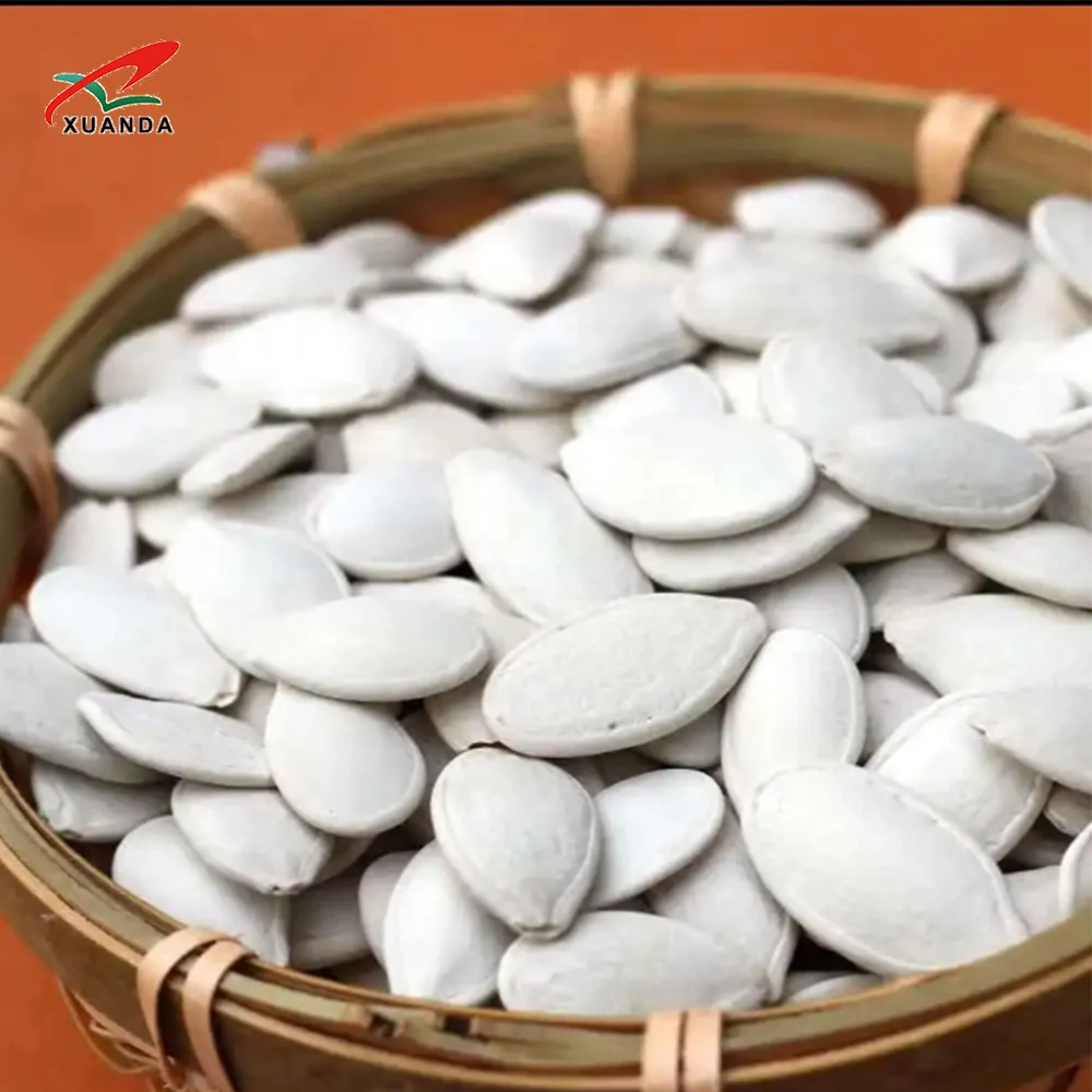 Chinese Factory Supply Jumbo Size Pumpkin Seeds Inshell Natural Snacks Ingredient Snow White Pumpkin Seeds 13MM