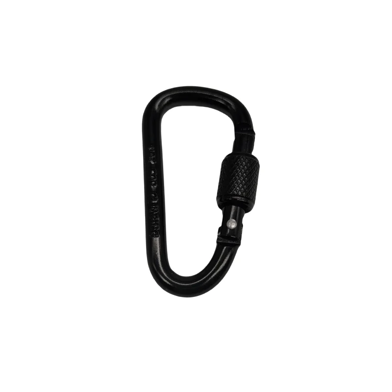 CBS-6# spring aluminum carabiners clip 6# D shape locking small snap hook for backpack with lock quick hanging Nuts buckle