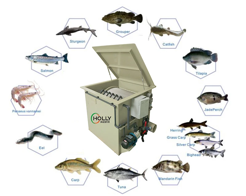 Koi Pond Filter Aquaculture Fish Farming RAS Equipment Rotary Drum Filter