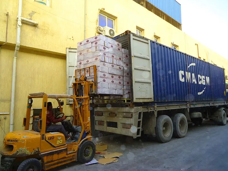 Elbow Macaroni Dry Pasta 5 kg Durum Wheat Mada Plus Brand Pasta Egyptian Product