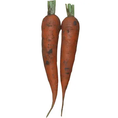 
Australian Vacuum Pack Fresh Fresh Vegetables Carrot Price 