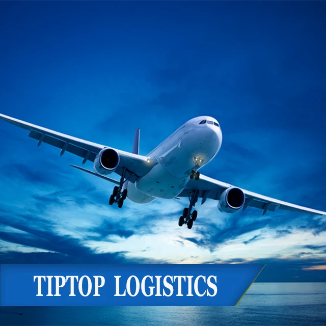 DDP Freight Forwarder FBA Shipping Agent China to Australia / USA / Germany / Italy / France