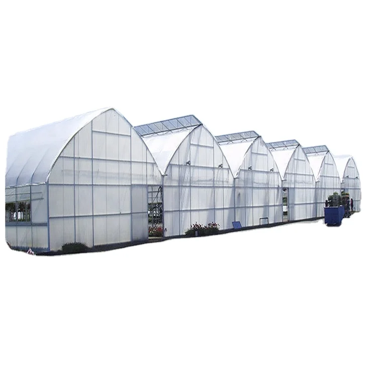 Cheap Cost Tropical Galvanized Steel Green House Africa greenhouse price