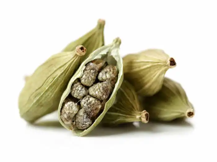 Pure Cardamom Essential Oil Organic get Pure Natural Oil from Direct Manufacturer of Essential Oil in Bulk for Diffuser