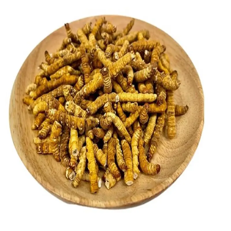 High Nutritional Value Deep Cleaning Tibet Mushroom Extracts Cordyceps Adenosine