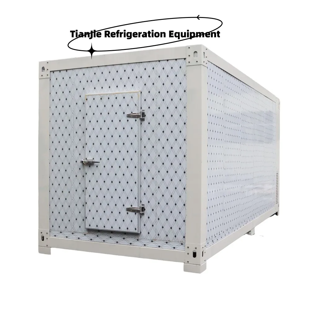 25 Cbm Walk In Freezer Mobile Container Best Rechargeable Battery Solar Power for fish meat vegetable Cold Storage Room