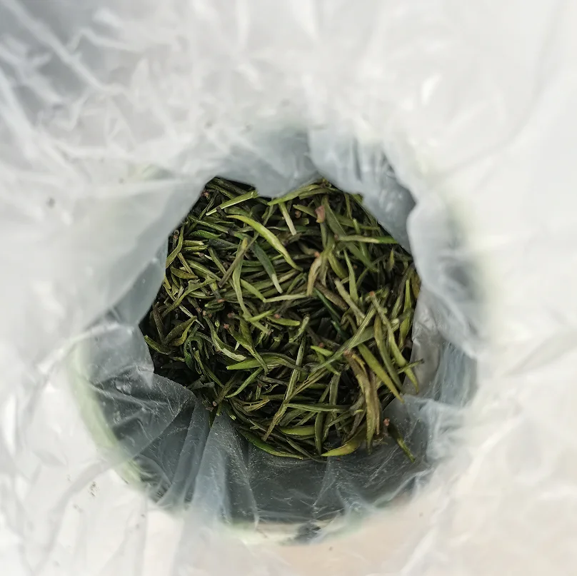 Factory-Priced Mingmei Best Quality Health Tea Gift Loose Chinese Green Tea in Bulk Box Bottle Packaging