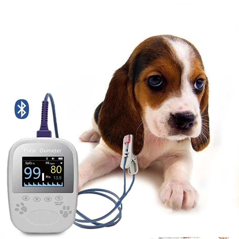 BM1000A-I BERRY Vet Medical Bluetooth Free App Pulse Oximeter Veterinary Accurate and cheap pet medical equipment
