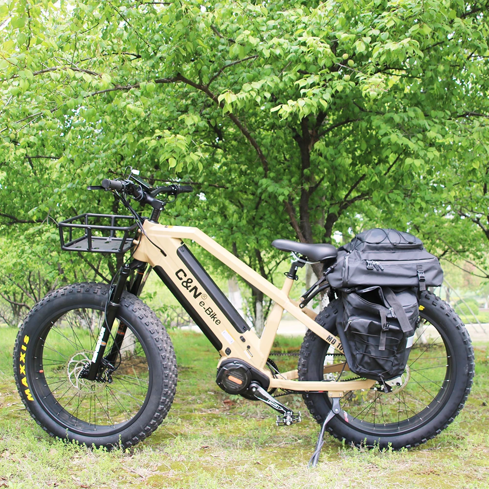  Электрический велосипед Rohloff 14 скоростей гироскутер 48 В 1000 Вт