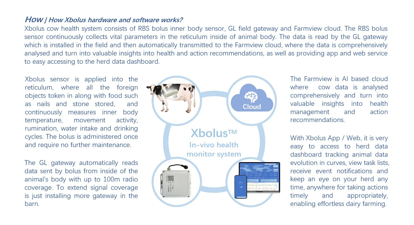 How Xbolus works.jpg