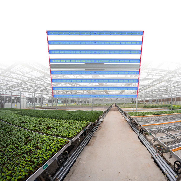 
cheapest 2021 hps vertical cfl 1000w high quality air cooling vent hydroponics rack with grow light 