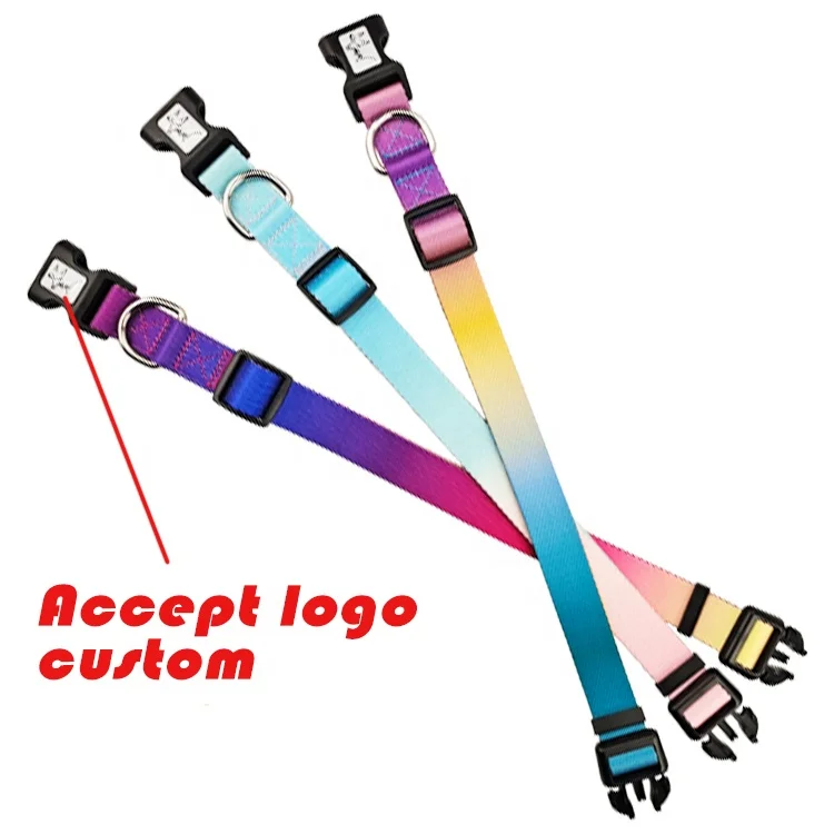 colorful dog collar accept custom logo wholesale pet collar