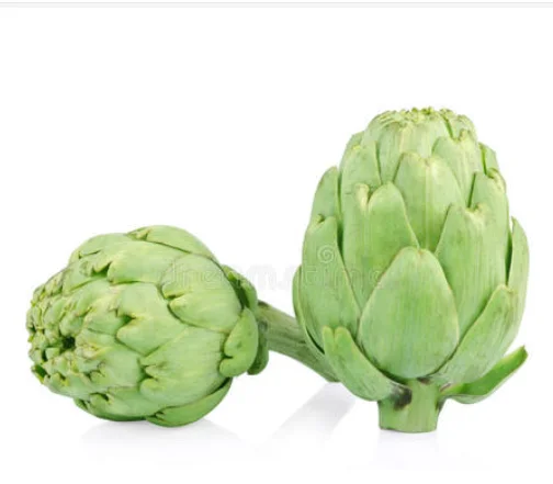 Artichoke Extract Cynarin powder