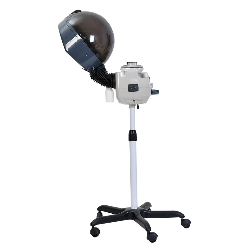 Professional salon equipment hair steamer healthy hair care processor standing type micro msit hair steamer