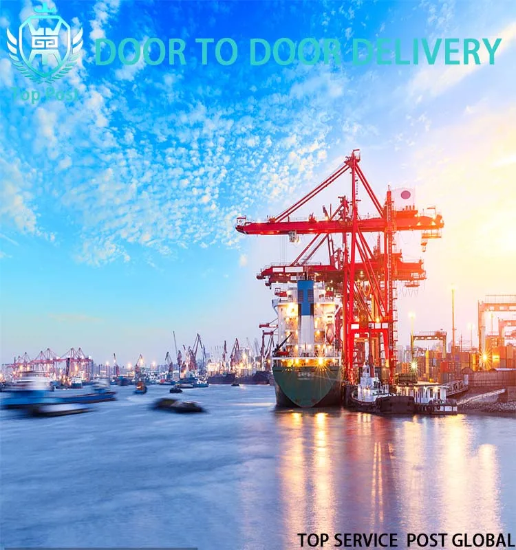 shipping companies international forwarder sea fright forwarder china to saudi arabia