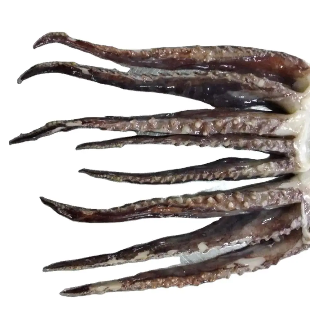 Chinese Seafood Mnufacturer Frozen Squid Tentacles