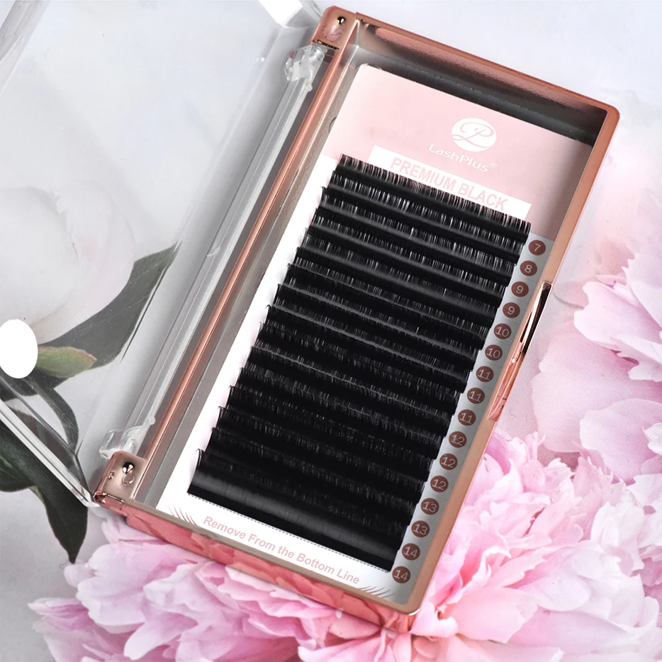 LashPlus korea PBT fibers de cilios pesta as pelo a pelo 0.15mm 3d nature extension lash supplies