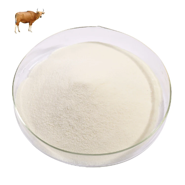 Порошковые пептиды коллаген из кормящей говядины животный белок Xiamen Hyfine Gelatin Co. ltd чистый белый или молочный в течение 5 дней 1 кг