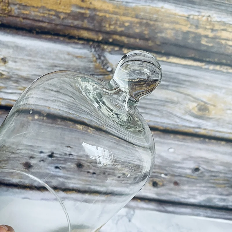 DIY Transparent Blown Glass Flower Cover Micro Landscape Tabletop Decorations for Garden House Jar