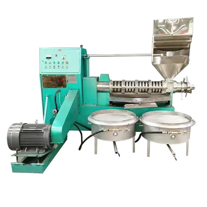 Hot Sale Cold Hemp Seed Sunflower Coconut Oil Press Machine Sesame Cashew Nut Shell Palm Kernel Oil Processing Machine For Sale