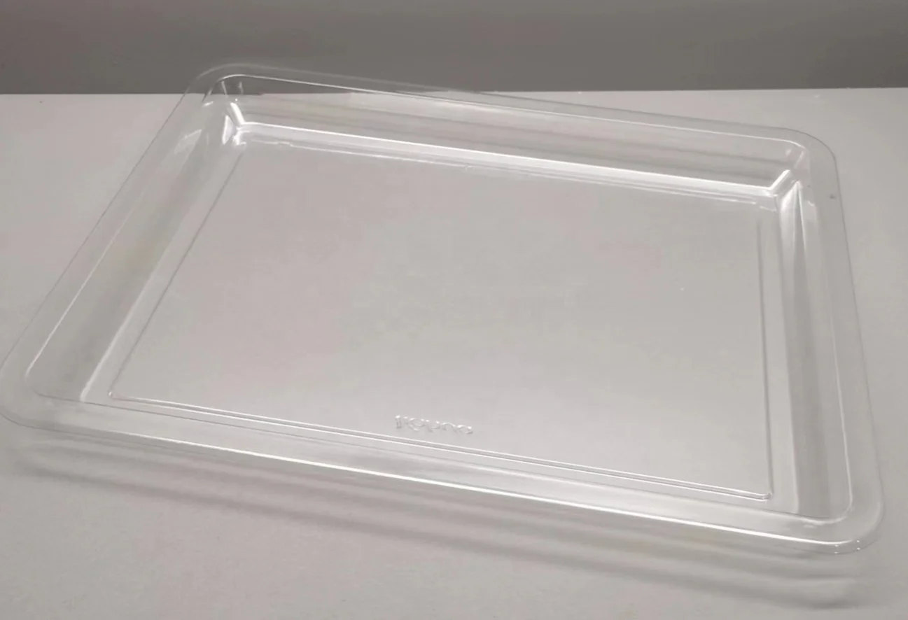 Wholesale Custom Pp Plastic Meat Packaging Frozen Food Tray - Buy Plastic Tray,Frozen Food Tray,Pp Pet Plastic Food Tray Product