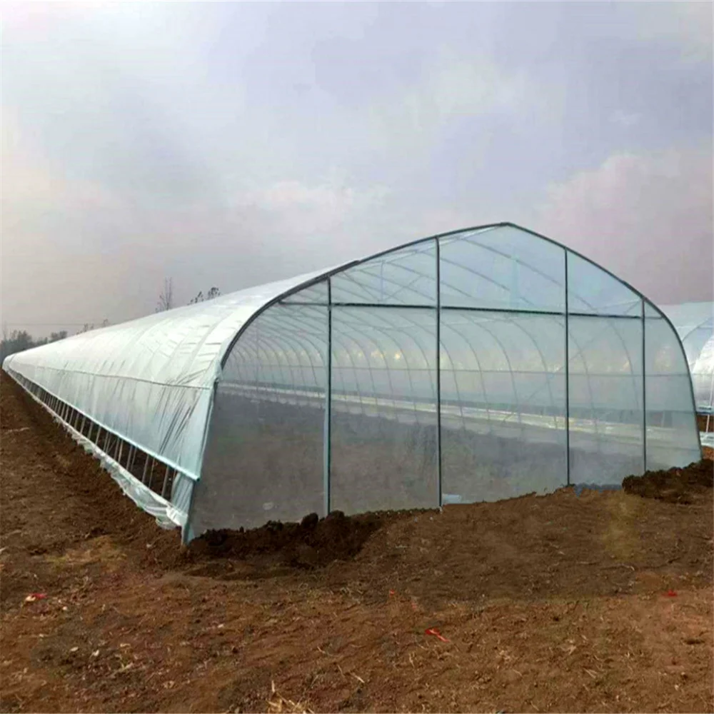 For Vegetables/Fruits Growing in Clean & Healthy Environment Collecting plate greenhouse