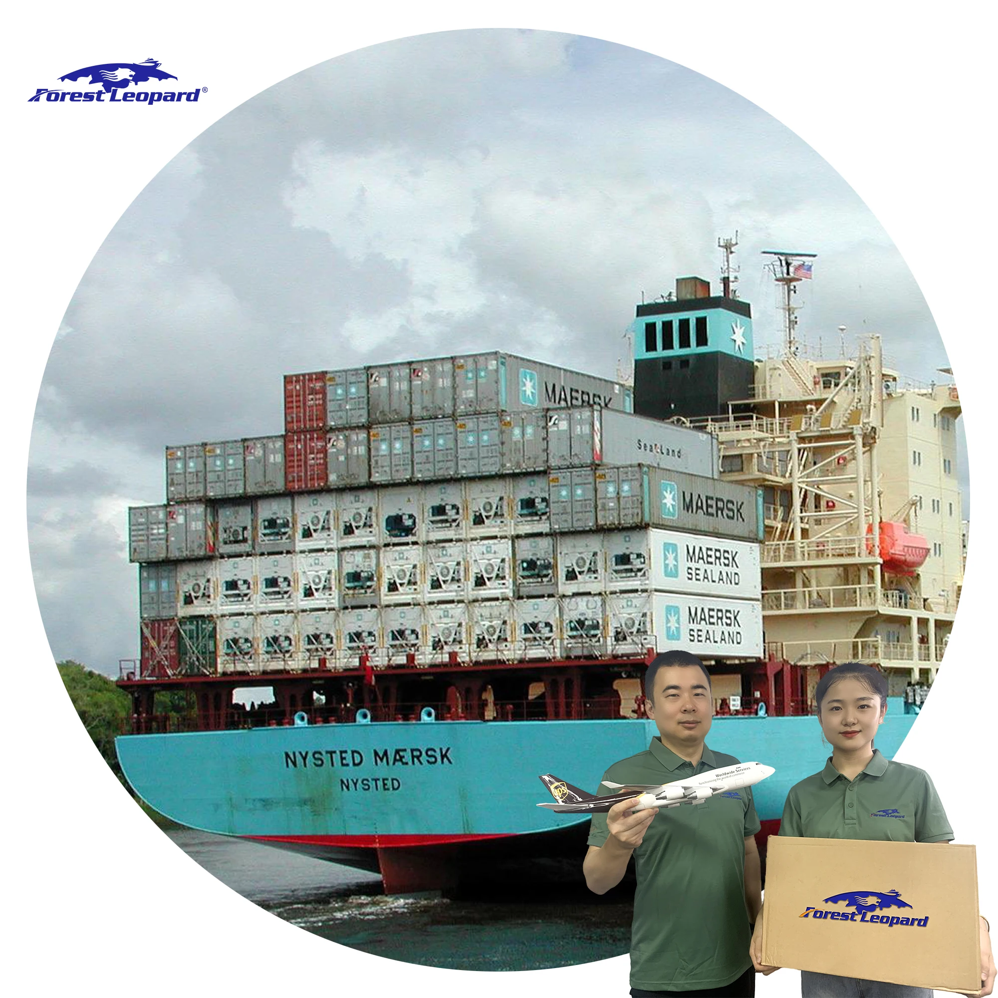 Free Customs Clearance Rates Logistics Agent Express SeaFreight Forwarder From China To USA  Freight shipping LAX9