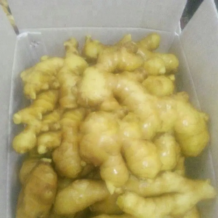
Wholesale New Crop Ginger with Export Fresh Ginger 