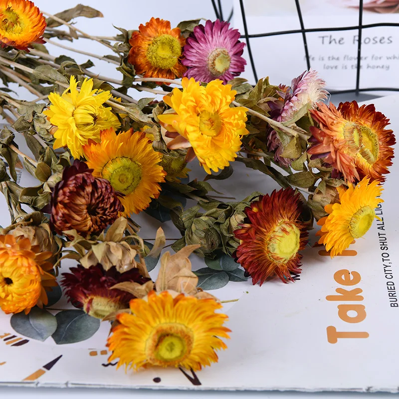 
Dried natural strawflower colorful daisy flower bouquet for home wedding party decoration 
