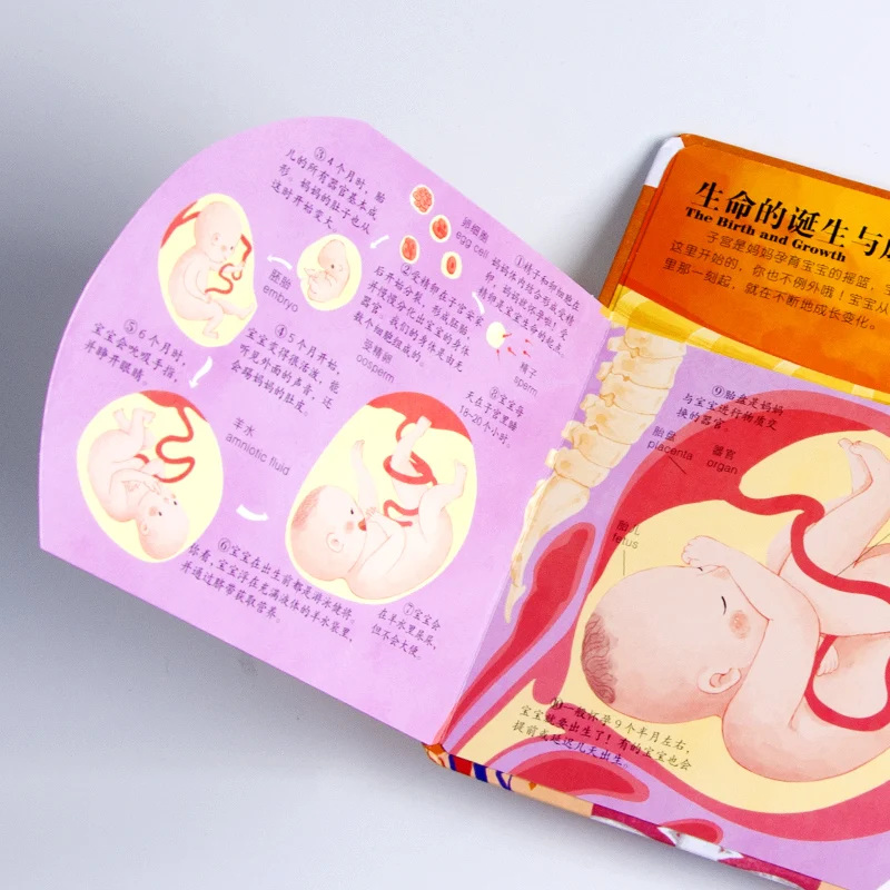 Splendid culture hardcover art book printing my first learning library customize hard children board book