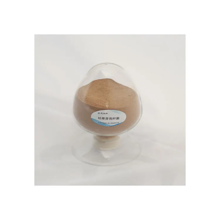 Новые цены по прейскуранту завода-изготовителя Kaufen Сенная палочка для завод Сенная палочка