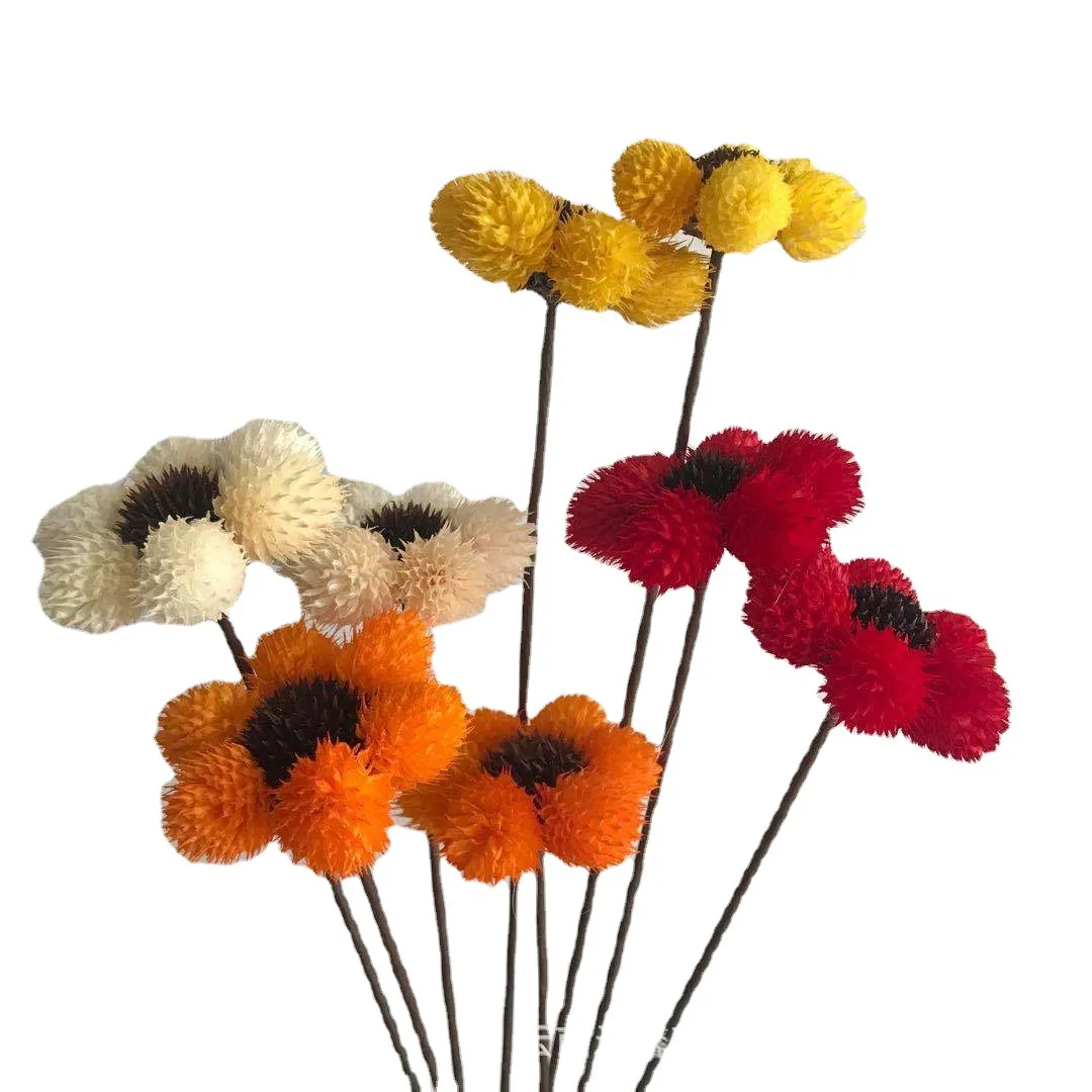 Wholesale Natural Dry Globe Amaranth Dried Flowers Gomphrena Globosa For Decor DIY Flowers Arrangements Candle Resin Making