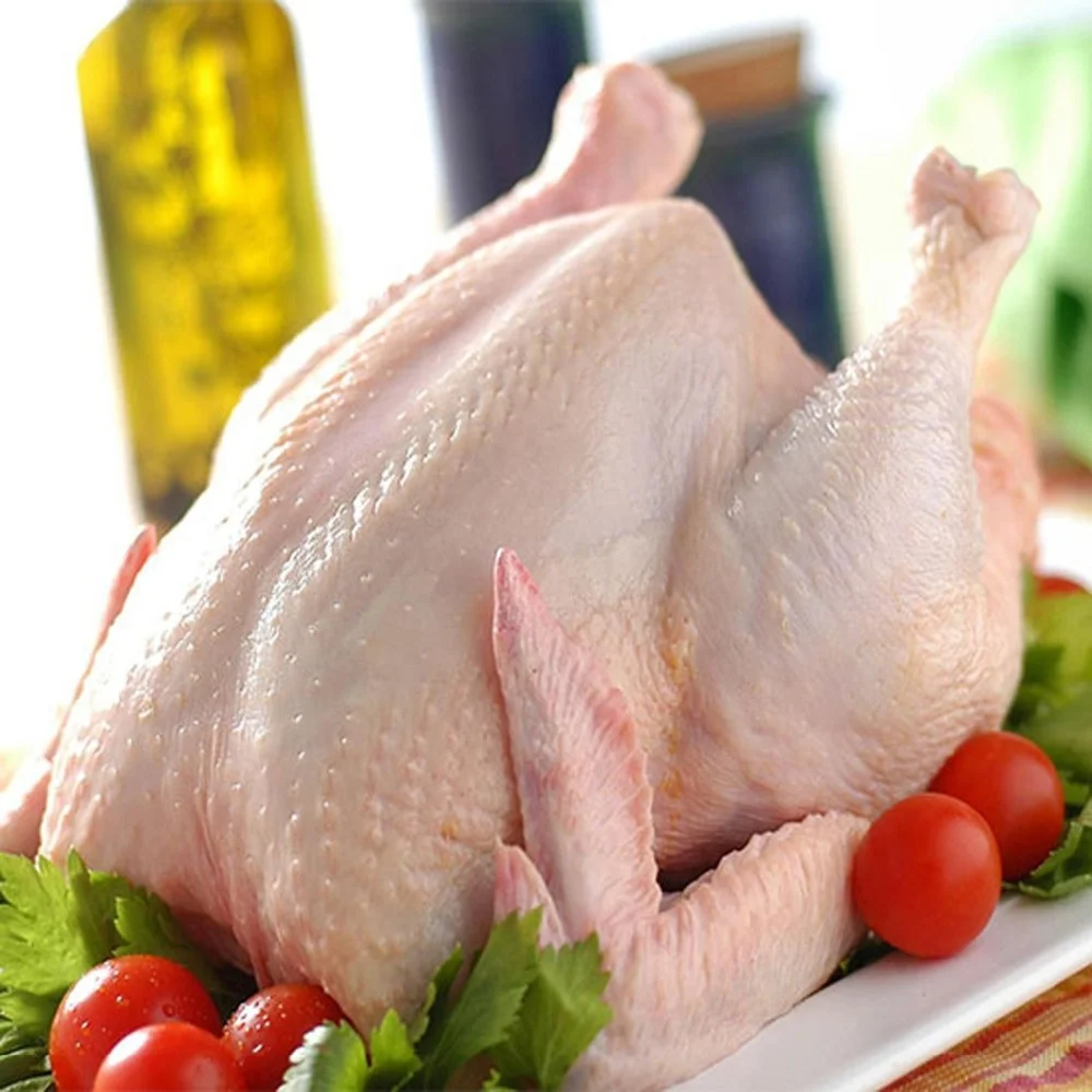 Whole Chicken Frozen Halal Brazil GM Food Wholesale Frozen Chicken Supplier Low Fat Brazil Frozen Whole Chicken Good Price