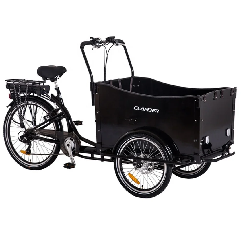Cheap Price 250W 36V Cargo E Bike 3 Wheel Family Delivery Electric Cargo Tricycles