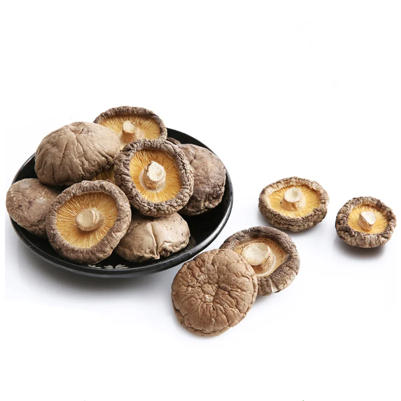 whole sale shiitake mushrooms dried mushroom legs low price china mushroom