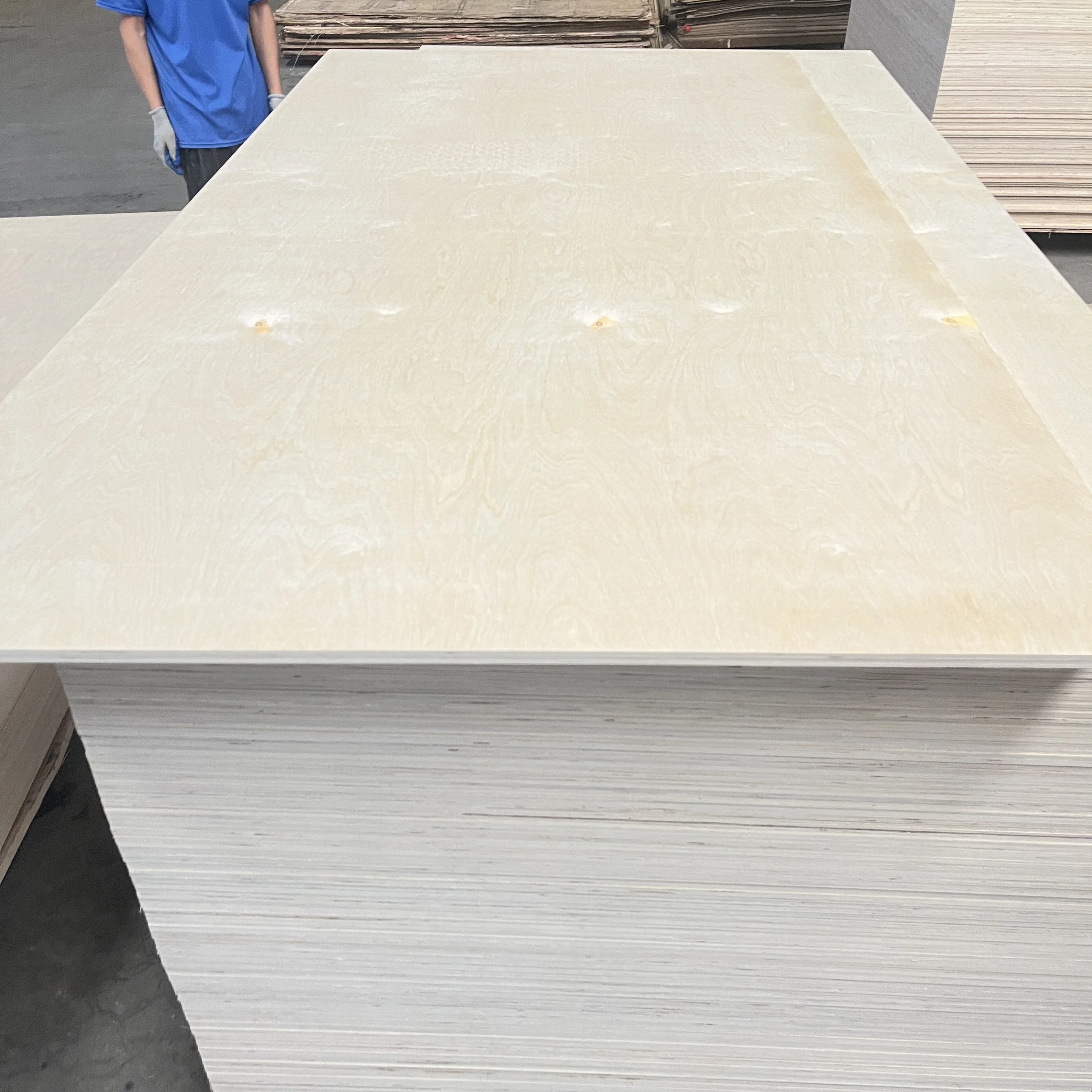 Baltic Birch Plywood B/BB Grade Plywood Board