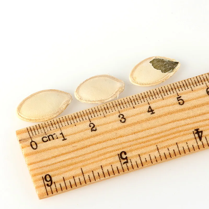 pumpkin seeds vitamin e