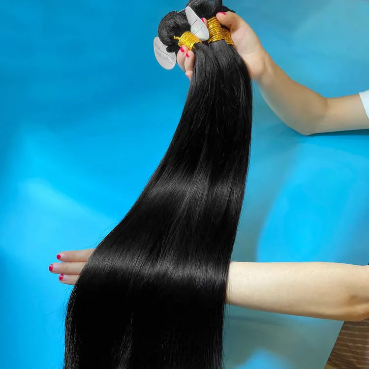 Wholesale Southeast Asian Cuticle Aligned Virgin Unprocessed Mink One Donor 10A Super Double Drawn Raw Vietnamese Hair