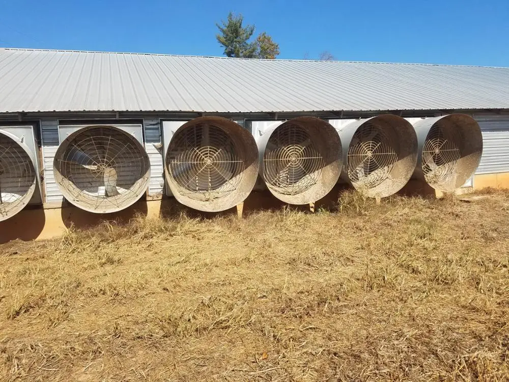 Cheap Steel Industrial Commercial Poultry Farm In Malaysia For Free Range Broiler Chicken House