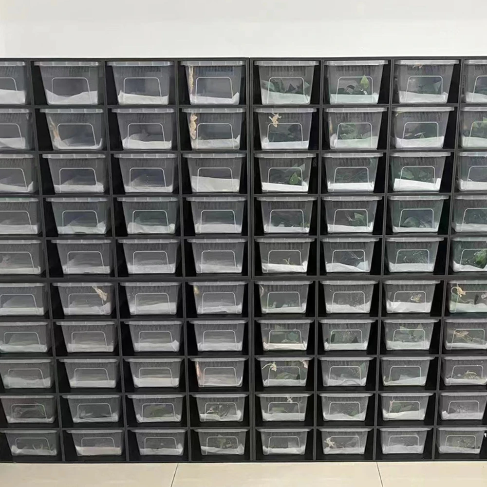 High cost performance snake reptiles bins pvc feeding reptile ball python plastic tubs snake breeding racks